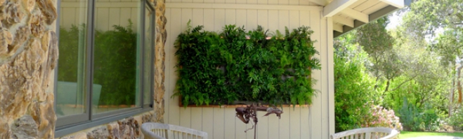 Haus und Garten Aliexpress